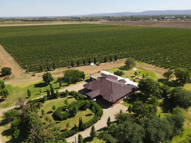 Sixth view of Homely rural property listing, Farm 504 Farley Road, Bilbul NSW 2680