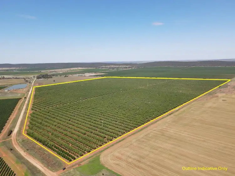 Second view of Homely rural property listing, Farm 1628 Blackgate Road, Myall Park NSW 2681