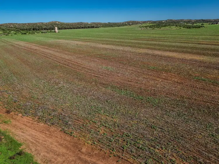 Main view of Homely land listing, 31 Company Road, Greenough WA 6532
