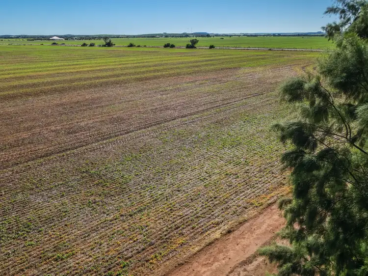 Second view of Homely land listing, 31 Company Road, Greenough WA 6532