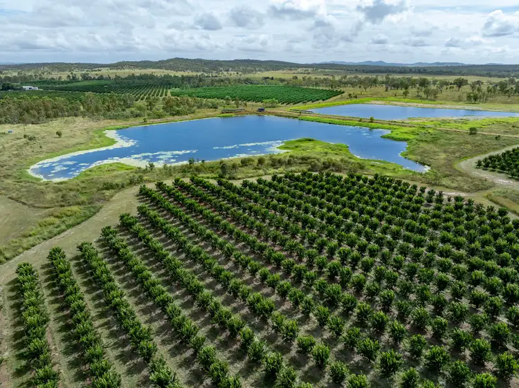 Fifth view of Homely rural property listing, 100 Sandersons Lane, Mundubbera QLD 4626