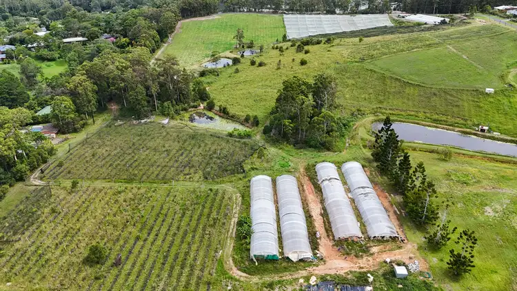 Fifth view of Homely land listing, 164 Newmans Road, Woolgoolga NSW 2456