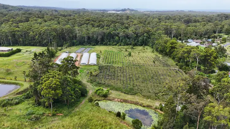Sixth view of Homely land listing, 164 Newmans Road, Woolgoolga NSW 2456