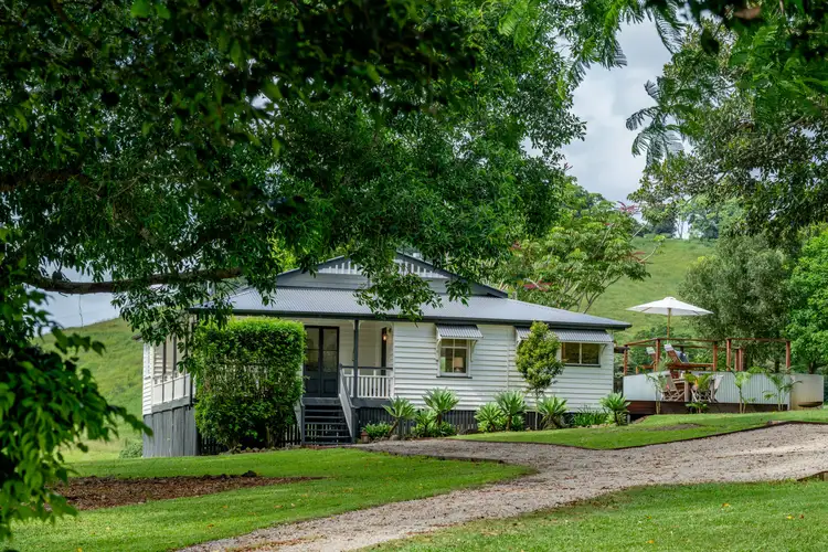 393 Sister Tree Creek Road