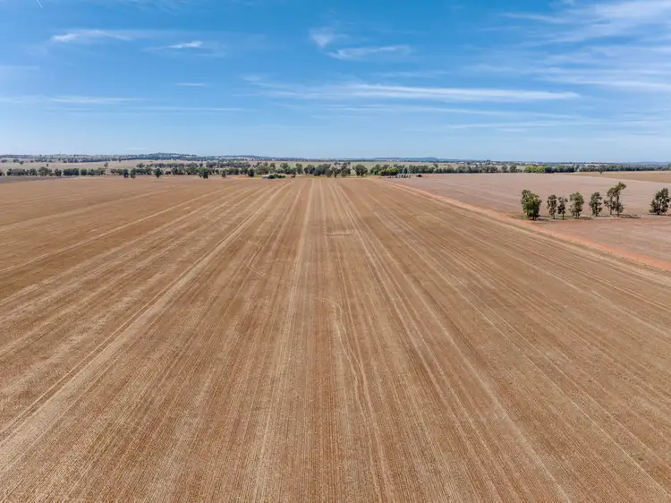 Fourth view of Homely rural property listing, 469 Brushwood Road, Currawarna NSW 2650