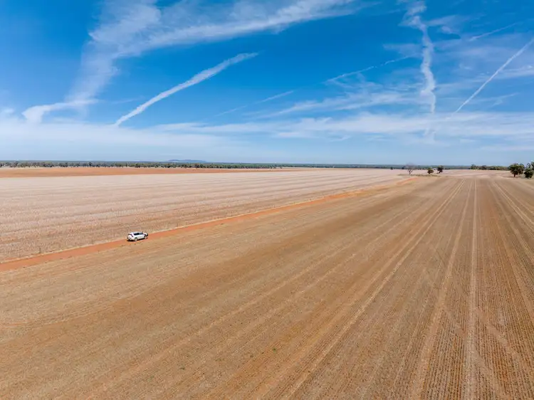 Fifth view of Homely rural property listing, 469 Brushwood Road, Currawarna NSW 2650