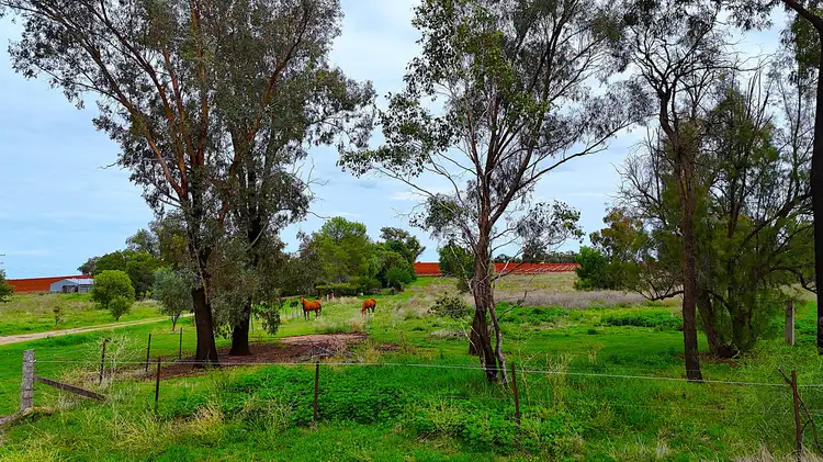 Third view of Homely rural property listing, 1123 Kamilaroi Highway, Quirindi NSW 2343