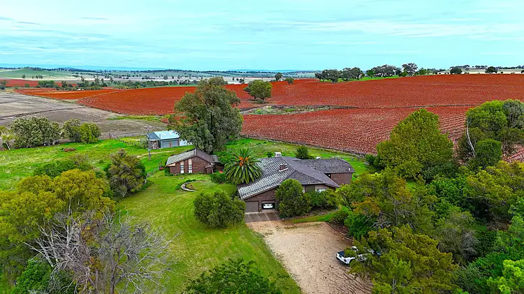 Fourth view of Homely rural property listing, 1123 Kamilaroi Highway, Quirindi NSW 2343