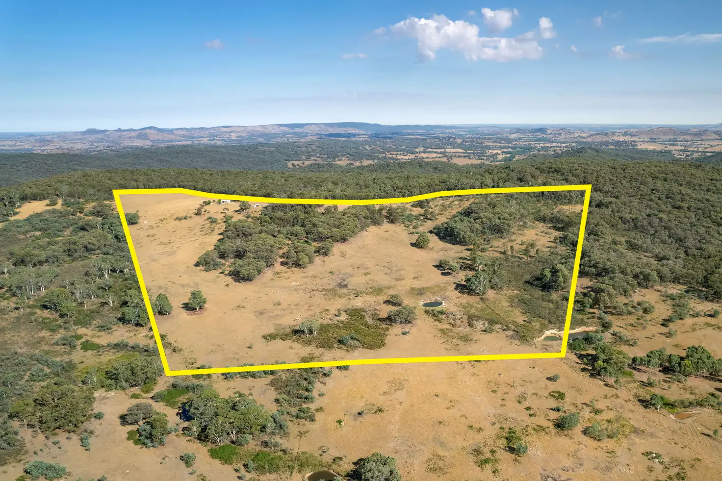 Main view of Homely rural property listing, 137 Hanels Road, Talmalmo NSW 2640