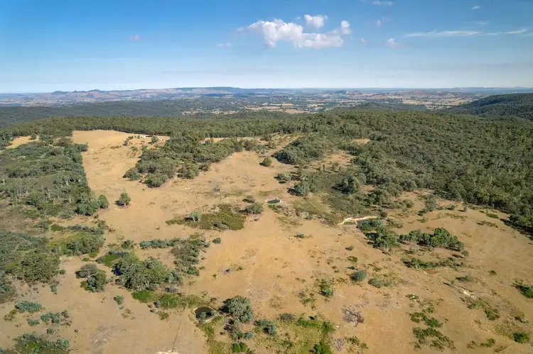 Second view of Homely rural property listing, 137 Hanels Road, Talmalmo NSW 2640