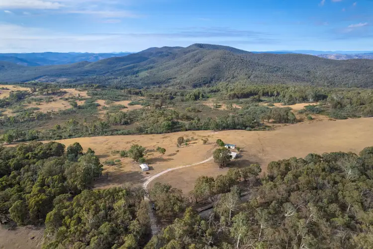 Seventh view of Homely rural property listing, 137 Hanels Road, Talmalmo NSW 2640