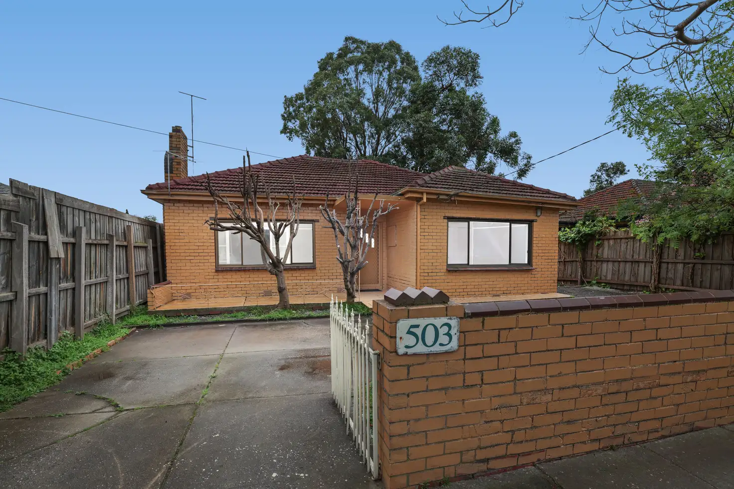 Main view of Homely house listing, 503 South Road, Bentleigh VIC 3204