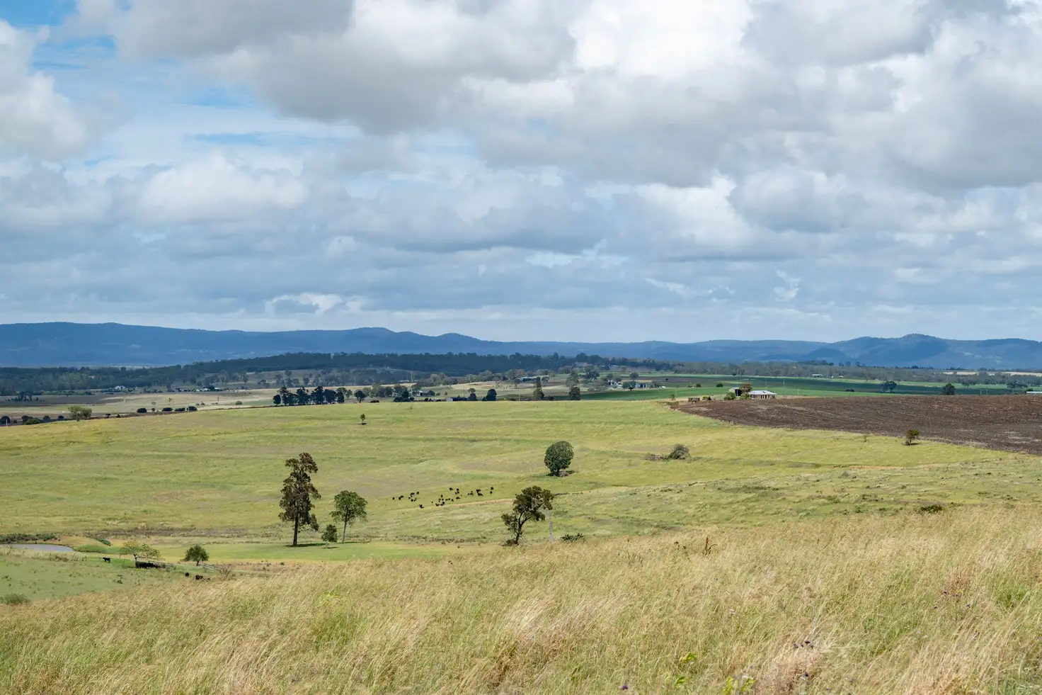Main view of Homely rural property listing, 1753 Yangan Killarney Road, Killarney QLD 4373