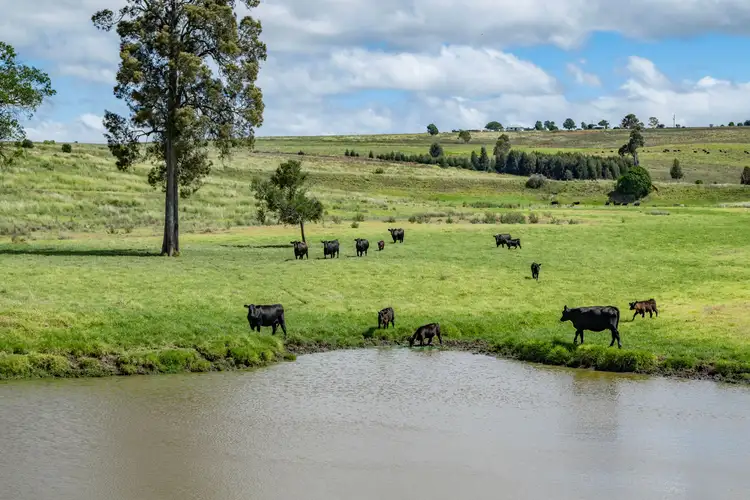 Third view of Homely rural property listing, 1753 Yangan Killarney Road, Killarney QLD 4373