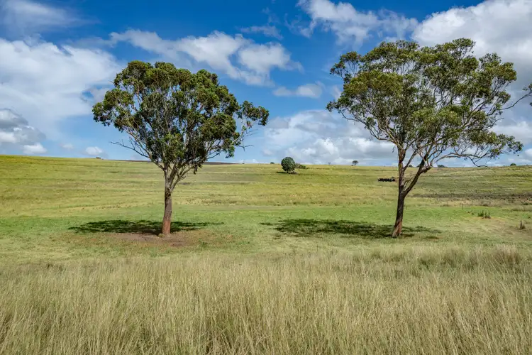 Sixth view of Homely rural property listing, 1753 Yangan Killarney Road, Killarney QLD 4373