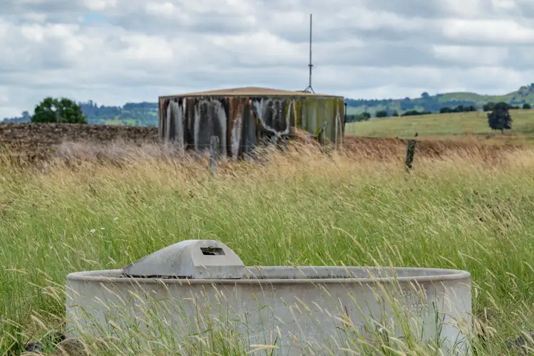 Seventh view of Homely rural property listing, 1753 Yangan Killarney Road, Killarney QLD 4373