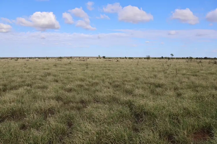 Third view of Homely rural property listing, 237 Perwell Road, Begonia QLD 4487