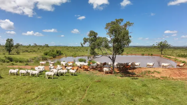 Second view of Homely rural property listing, "Trenwith" 88 Riverslea Road, Gogango QLD 4702