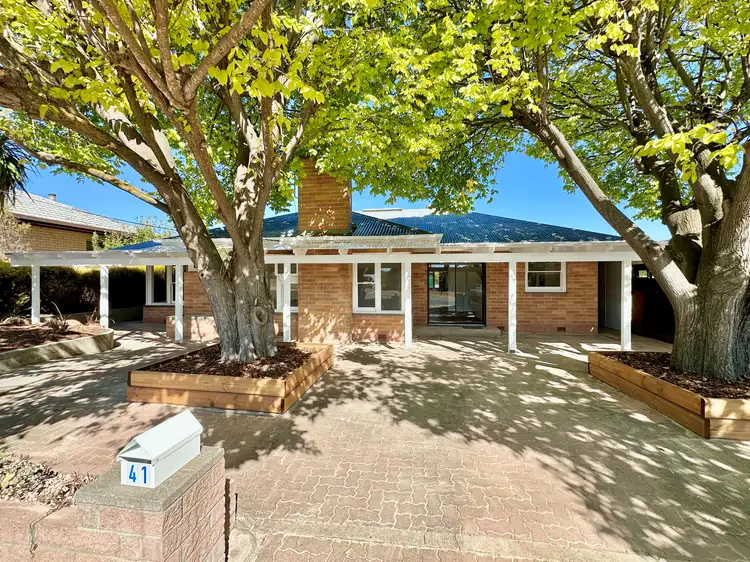 Main view of Homely house listing, 41 Marston Terrace, Bordertown SA 5268