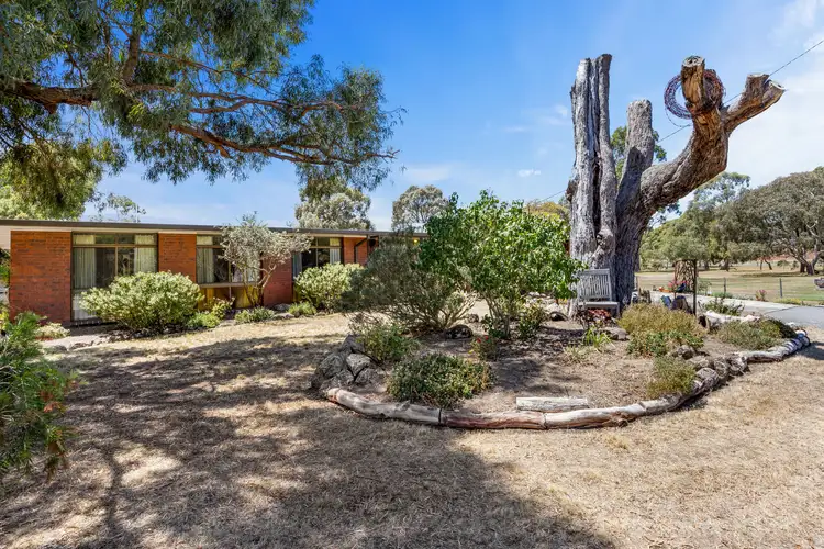 Third view of Homely house listing, 29 Muscatel Street, Invermay VIC 3352