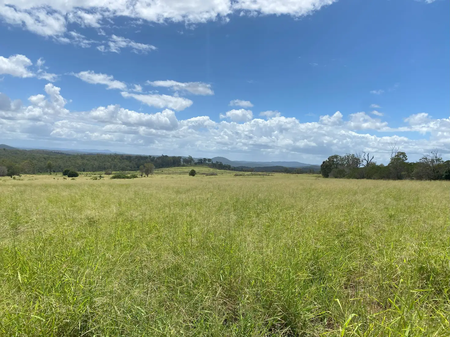 Main view of Homely rural property listing, 'Sunrise' Mclaughlans Road, Monto QLD 4630