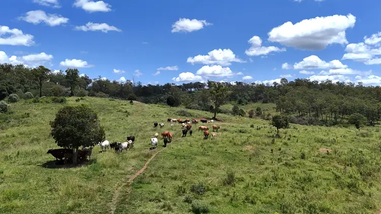 Second view of Homely rural property listing, 'Sunrise' Mclaughlans Road, Monto QLD 4630