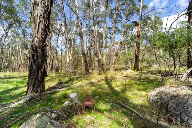 Main view of Homely land listing, Peak View Road, Peak View NSW 2630