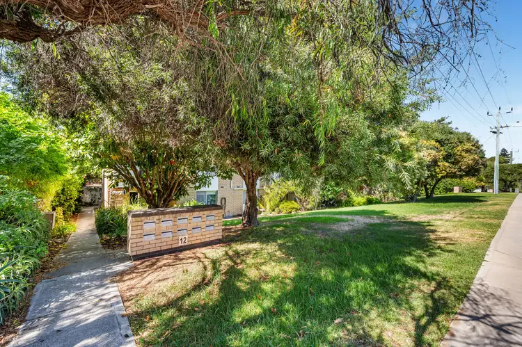 12 Murray Avenue