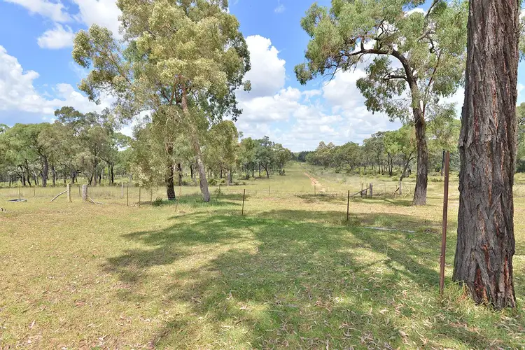Seventh view of Homely rural property listing, 348 QUAKER TOMMY Road, Coonabarabran NSW 2357