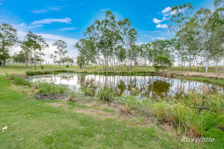 439 Eureka Station Road, Eureka QLD 4660