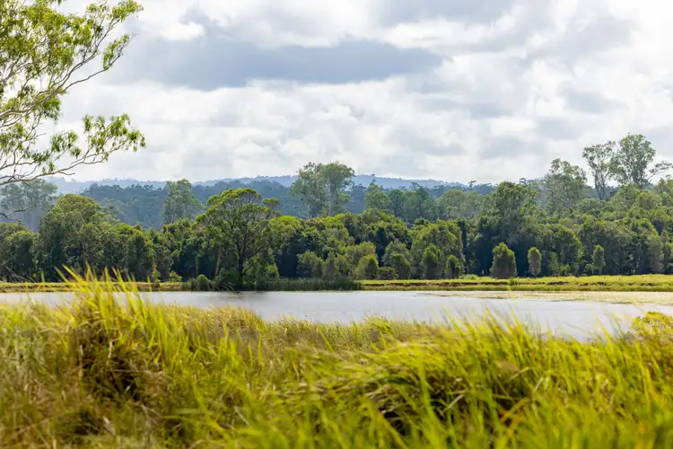 Third view of Homely rural property listing, 699 Cove Road, Stanmore QLD 4514