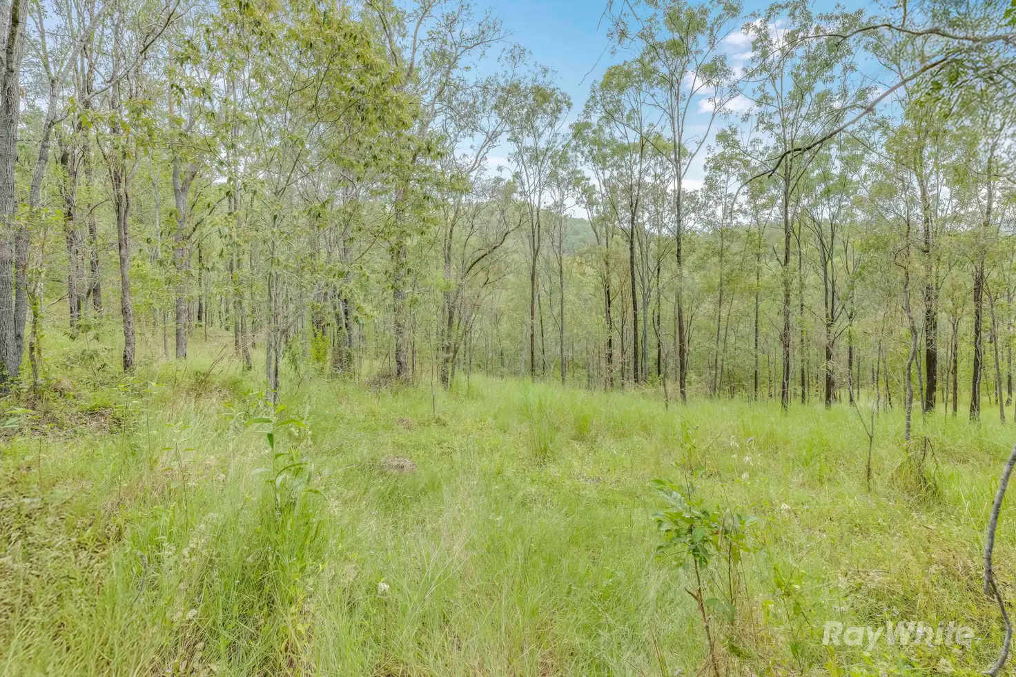 Main view of Homely land listing, LOT 31 Gaeta Road, Gaeta QLD 4671