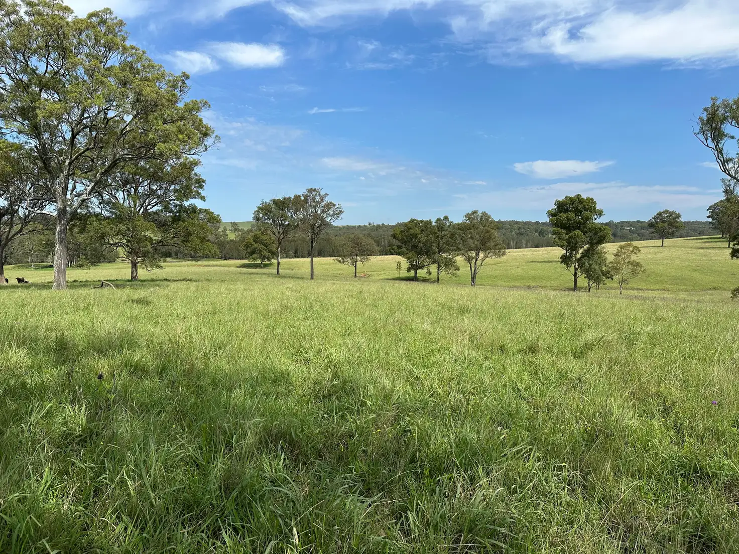 Main view of Homely rural property listing, Address available on request