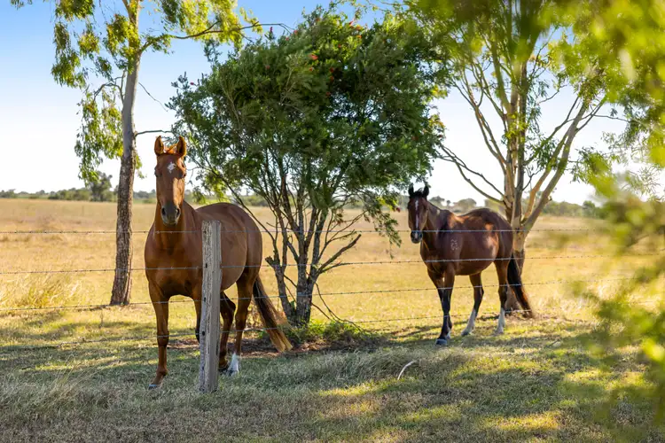 Third view of Homely rural property listing, 2266 Toowoomba - Cecil Plains Road, Biddeston QLD 4401