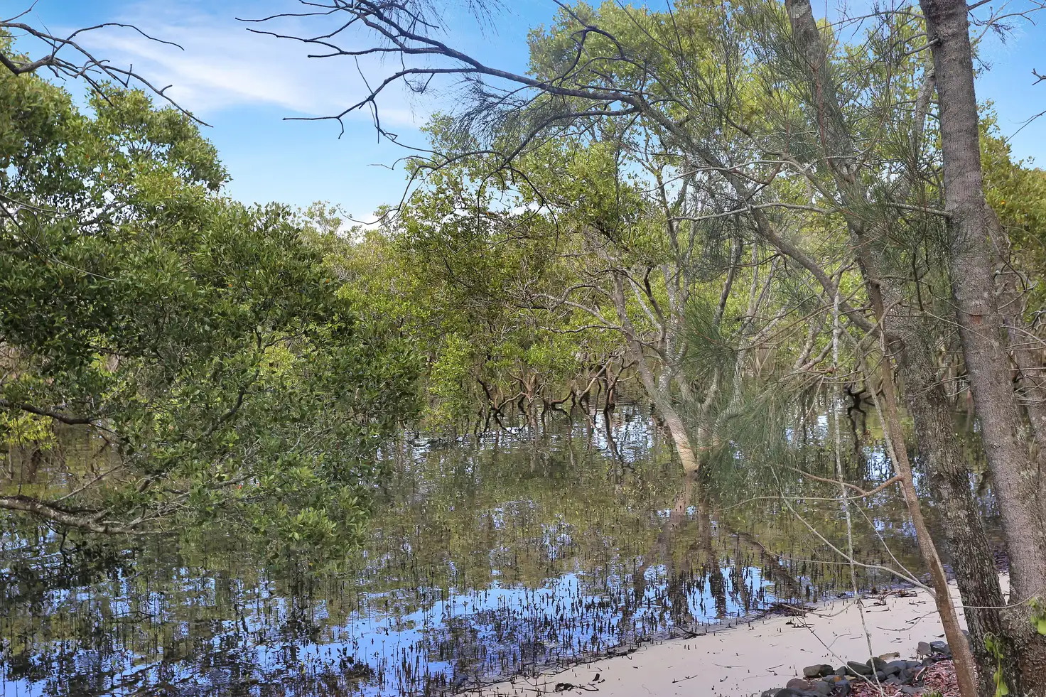 Main view of Homely rural property listing, 8 Myall Street, Pindimar NSW 2324