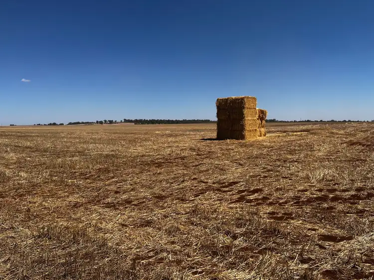 Fifth view of Homely rural property listing, Lot 2 PS445124Y Wilson Road, Nanneella VIC 3561