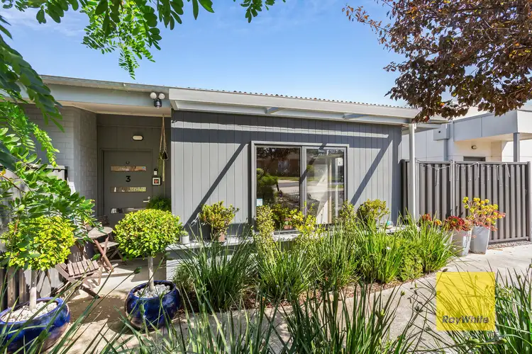 Main view of Homely unit listing, 3/17 Colac Grove, Belmont VIC 3216