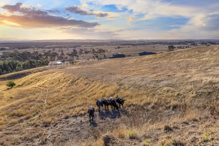 Seventh view of Homely land listing, LOT 2, 46 Nicholsons Road, Durham Lead VIC 3352