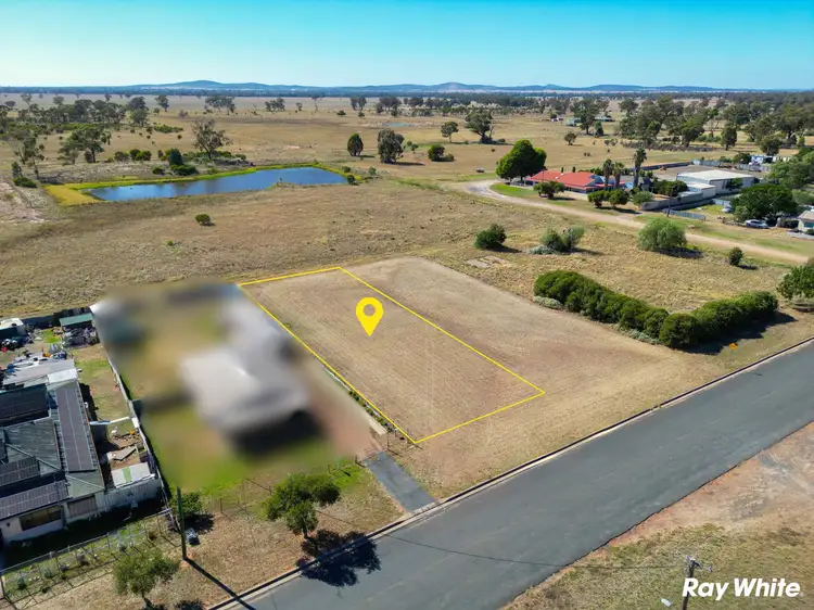 49 De Boos Street, Barmedman NSW 2668