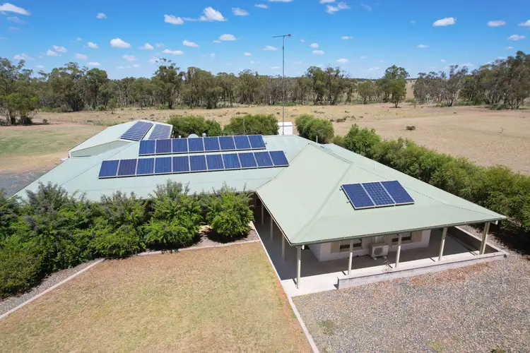 Main view of Homely rural property listing, 357 Calleen Lane, West Wyalong NSW 2671
