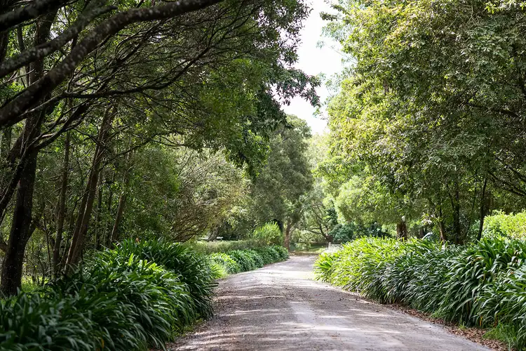 Second view of Homely house listing, 71 May Street, Robertson NSW 2577