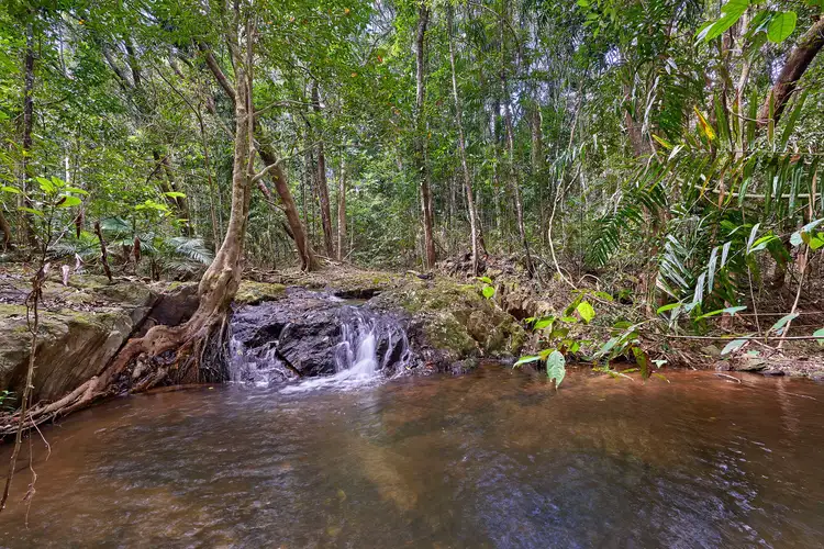 Second view of Homely house listing, 292 Austin Road, Kuranda QLD 4881