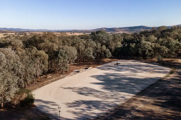 Third view of Homely rural property listing, 13407 Hume Highway, Woomargama NSW 2644