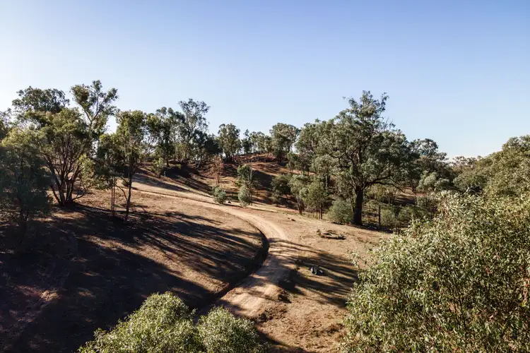 Fifth view of Homely rural property listing, 13407 Hume Highway, Woomargama NSW 2644