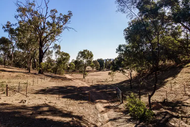 Sixth view of Homely rural property listing, 13407 Hume Highway, Woomargama NSW 2644