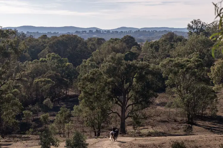 Seventh view of Homely rural property listing, 13407 Hume Highway, Woomargama NSW 2644