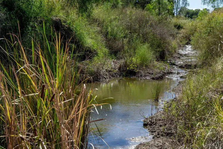 Third view of Homely rural property listing, "Quibet" 279 Quibet Road, Yarranlea QLD 4356