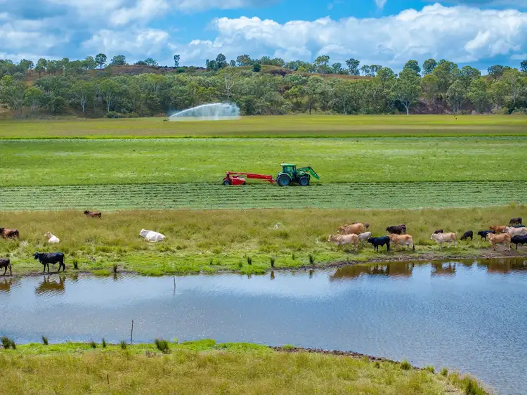 Main view of Homely rural property listing, 254 Steinhardts Road, Moffatdale QLD 4605
