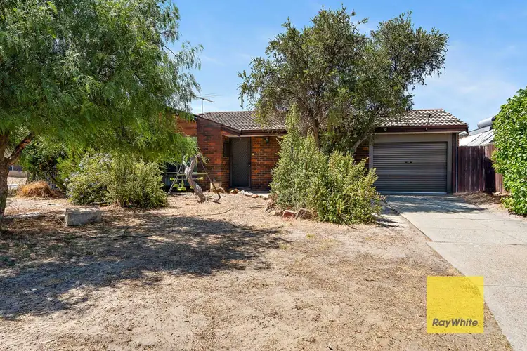 19 Mallard Street, Thornlie WA 6108