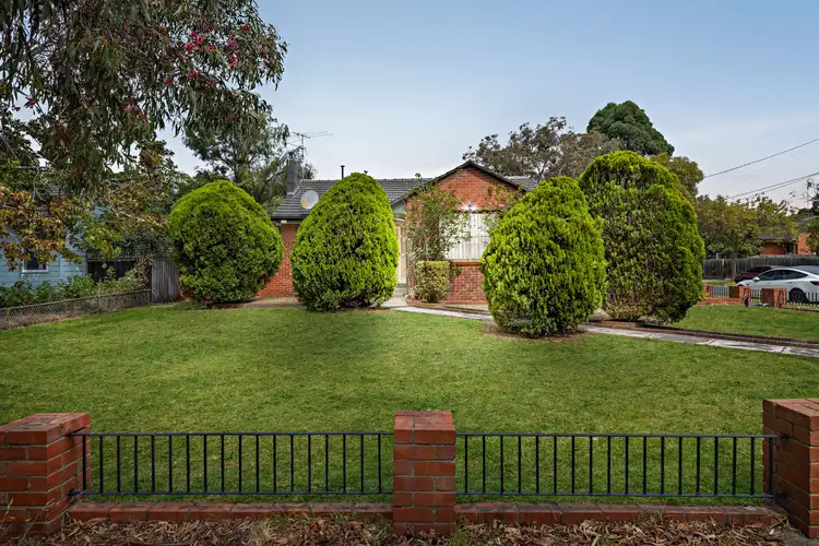 6 Tallowwood Street